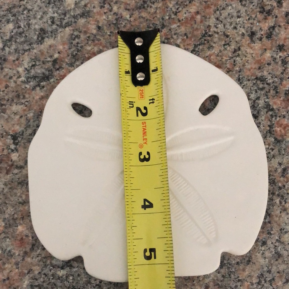2pc Sand Dollar DECOR - Picture 6 of 8